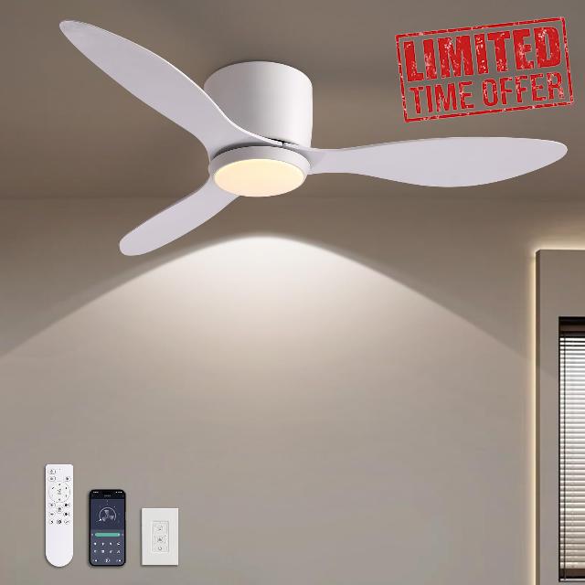 LUDOMIDE Ceiling Fans with Lights