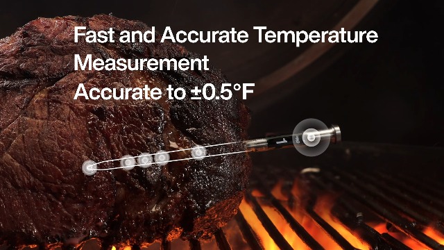 BBQ Smoker Grill Oven Brisket Steak Turkey Pork