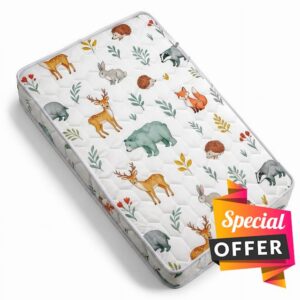 Pack and Play Mattress 38x26x3