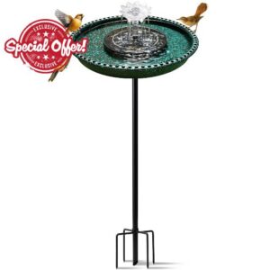 Bird Bath with Solar Powered Fountain for Hummingbirds