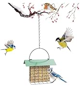 Window Bird Feeder with Strong Suction Cup and Self-Adhesive, Clear Birdfeeder for Window Larger ...