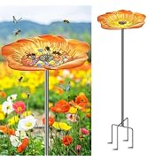MeyRolizn Hummingbird Rain Gauge Outdoor, Metal Rain Gauges Stake with 6“ Glass Tube, Decorative ...