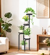 wood plant stand