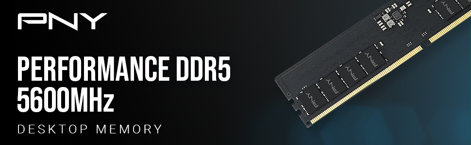 PNY Performance DDR5 5600MHz Desktop Memory