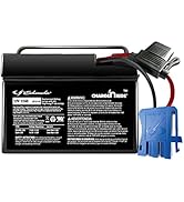 Schumacher CR-2 Universal Battery Charger For Ride-On Toys - 1.5 Amp, 24V - Power Wheels, Peg Per...