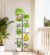 Plant Stand Indoor Outdoor