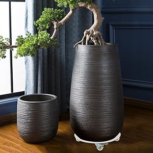 Rolling Plant Stand Indoor Outdoor
