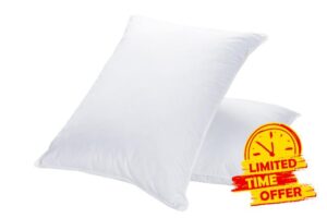 JA COMFORTS Goose Feather Down Bed Pillows for Sleeping(2 Packs)-Standard/Queen