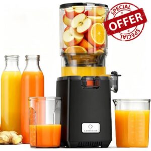 LINKChef Cold Press Juicer – 250W Juicer Machines