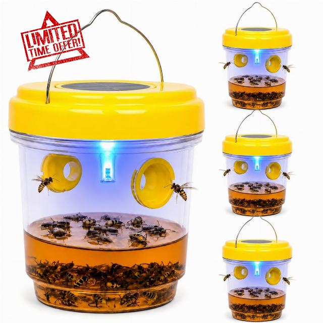 4 Pack 2026 New Upgrade Wasp Trap Outdoor Hanging