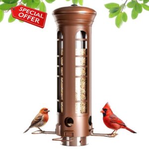 Squirrel Proof Bird Feeder for Outdoors