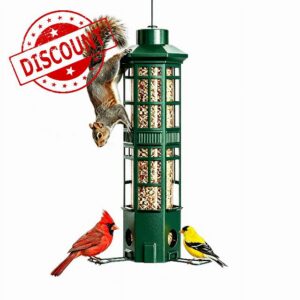 3 Port Squirrel Resistant Bird Feeder for Outdoors