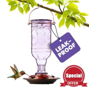 More Birds Amethyst Jewel Hummingbird Feeder - 77IN - 20 Fl Oz Nectar Capacity - Hummingbird Feeder for Outdoors - Feed 5 Hummingbirds - Vintage Design - Bird Backyard DÃco