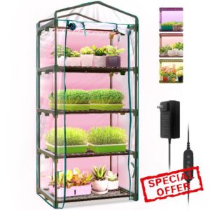Bstrip Indoor Greenhouse with Grow Lights