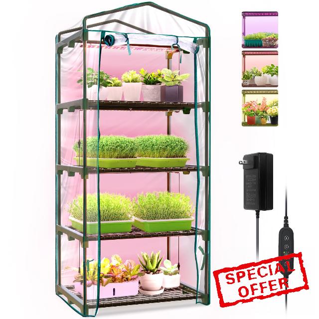 Bstrip Indoor Greenhouse with Grow Lights
