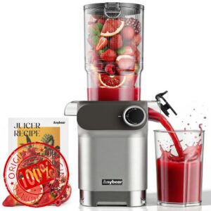 Anybear Cold Press Juicer 200W Masticating Slow Juicer 4.3" Large Feed Chute Fit Whole Fruits Vegetables | Upgraded Auger | Tritan Material | BPA Free | Juice Recipes (Silver Gray)