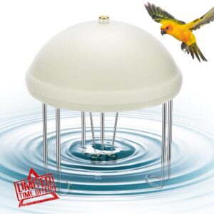 Buzzlett Upgraded Bird Bath Water Circulator