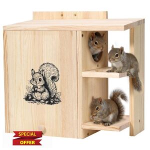 Large Widened Squirrel House for Outside