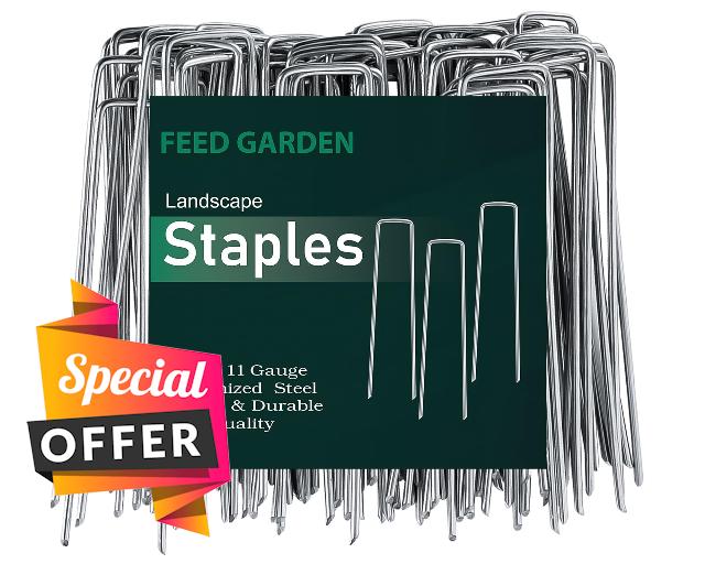 FEED GARDEN Landscape Staples 6 Inch 500 Pack