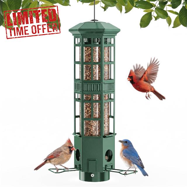 Squirrel Proof Bird Feeder