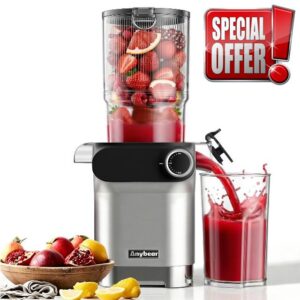 Anybear Cold Press Juicer 200W Masticating Slow Juicer 4.3" Large Feed Chute Fit Whole Fruits Vegetables | Upgraded Auger | Tritan Material | BPA Free | Juice Recipes (Silver Gray)