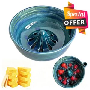 Self Rinsing Berry Washing Ceramic Bowl