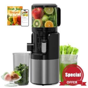 Cold Press Juicer