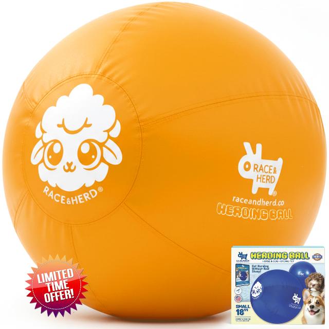 Race&Herd 18" Original Herding Ball for Dogs — Balls for Dog Toys (Gold) | Small Herding Ball for Mini Australian Shepherd