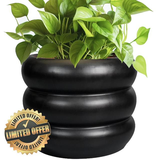 SQOWL Ceramic Pot for Plants 8 Inch - Indoor Plant Pot with Drainage Hole Planter for Outdoor Plants Modern Flower Pot Round Planter for House Home Decor Living Room Black