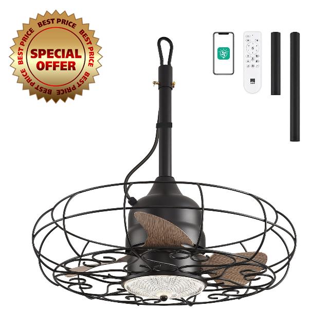 Orison 21'' Outdoor Ceiling Fans with Light