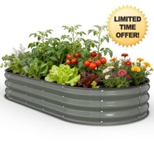 Pattiumo Galvanized Raised Garden Bed 6x3x1 FT
