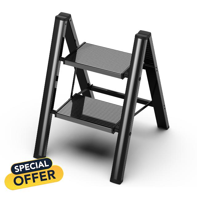 2 Step Ladder