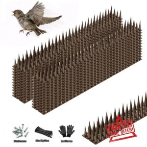 Bird Spikes