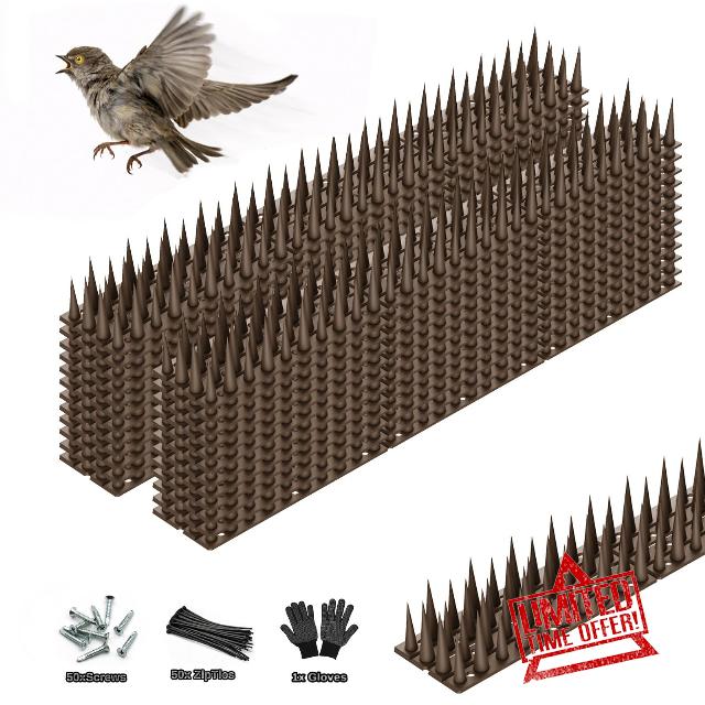 Bird Spikes