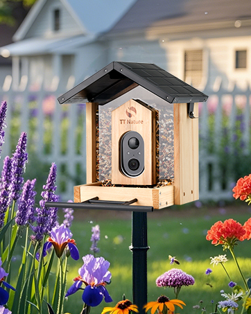 bird camera and feeder