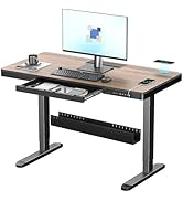 ERGO COLLECT standing desk