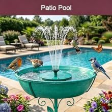 bird bath for outdoors