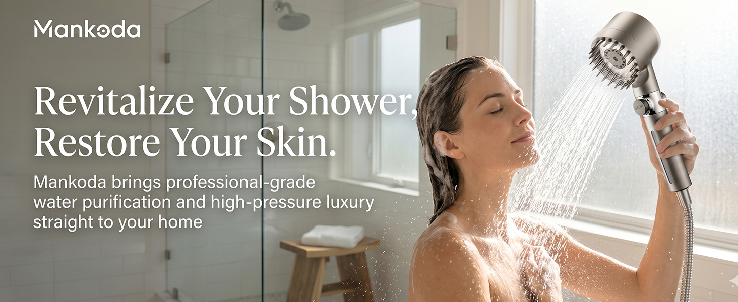 Filtered shower head with handheld