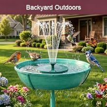 humming bird bath