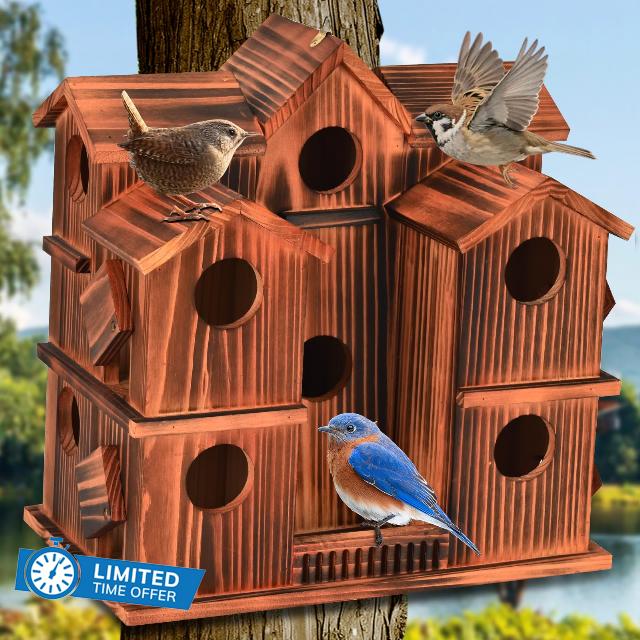 Wooden Bird Houses for Outside