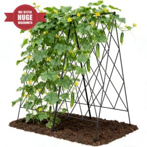 Cucumber Trellis 2 Pack