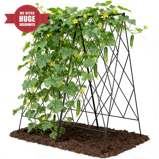 Cucumber Trellis 2 Pack