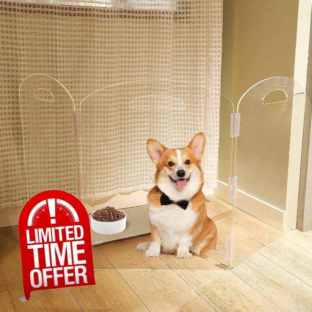 Dog Gate