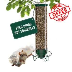 Droll Yankees Squirrel Proof Bird Feeder for Outdoors – Rechargeable Weight-Activated Rotating Perch