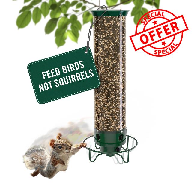 Droll Yankees Squirrel Proof Bird Feeder for Outdoors – Rechargeable Weight-Activated Rotating Perch