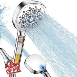 Filtered Shower Head with Handheld