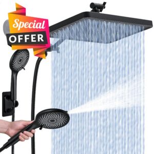 Shower Head with Handheld