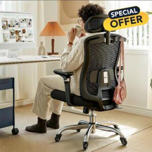 HUANUO FlowLift™ Ergonomic Office Chair with 6D Armrest