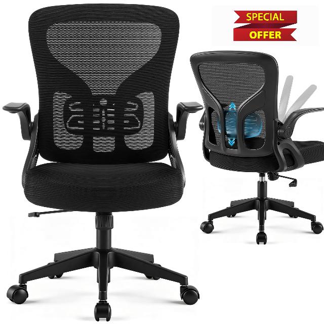 Office Chair Ergonomic Desk Chair with Adjustable Lumbar Support