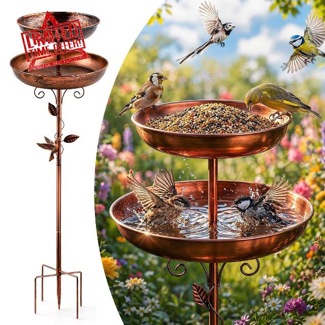 2-in-1 Tall Bird Bath and Feeder for Outdoors